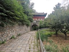 -云岗森林公园