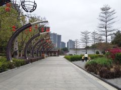 -映月湖公园