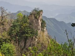 -王顺山国家森林公园