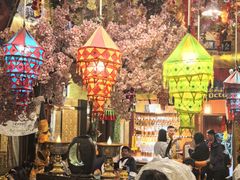 -吉祥圣雪藏餐