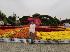 -大兴滨河森林公园