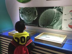 -上海昆虫博物馆