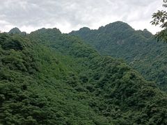-龙窝子