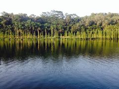 iphone_upload_pic-三水森林公园