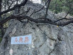 -阳台山自然风景区