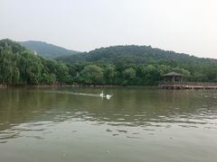 -无锡动物园·太湖欢乐园