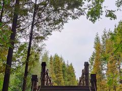 -桤木河湿地公园