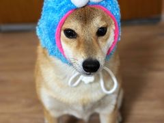 -KKV(深圳宏发大仟里店)