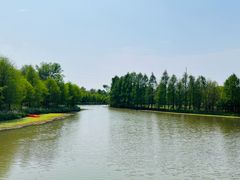 -上海海湾国家森林公园