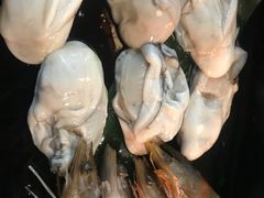 -北海银滩·鉳海(星湖店)