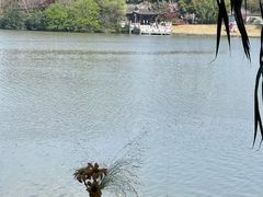 -凤城河风景区