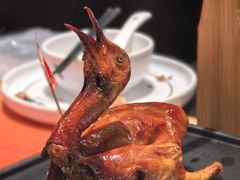 -羽鸽集·乳鸽专门店·地道顺德菜(岭南站店)