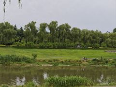 -洨河生态公园