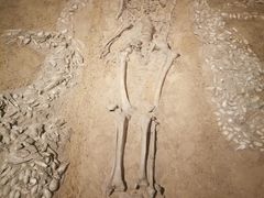 -中国国家博物馆-地上停车场