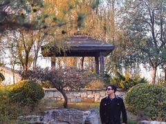 -武清南湖绿博园