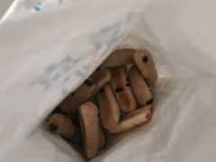 -拾味中点(花园路店)