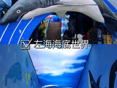 -左海海底世界