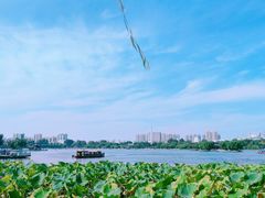-济南大明湖景区