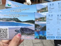 -广东惠东海龟国家级自然保护区