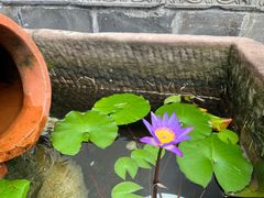 -慢丽江·云南野生菌土鸡锅(付家庄店)