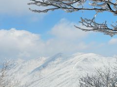 -安吉龙王山风景区