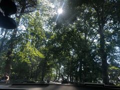 -五七小李子油焖大虾(总店)