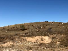 -塞罕坝国家级自然保护区