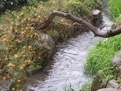 -中国茶叶博物馆(双峰馆区)
