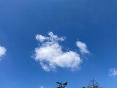 -北京市劳动人民文化宫