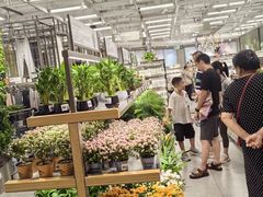 -鹿岛生活(熙地港店)