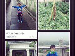 -上海佘山国家森林公园西佘山园