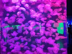 -多彩贵州城极地海洋世界