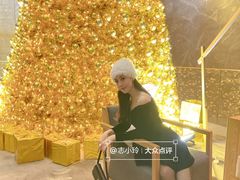 -重庆解放碑威斯汀酒店