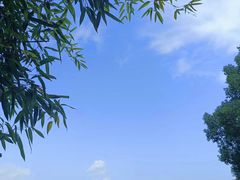 -福建鲤鱼洲酒店