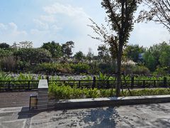 -水月周庄铂尔曼酒店 · 漾全日餐厅