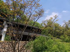 -杭州植物园
