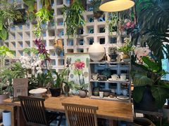 -自由生长植物工作室(深港花卉中心店)