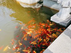 -西安华清御汤酒店