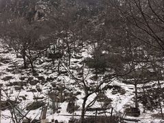 -抱龙峪