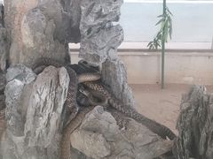 -荔城生鲜盛宴(番禺旗舰店)