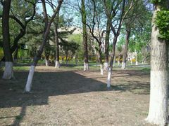 android_upload_pic-辽宁大学(崇山校区)