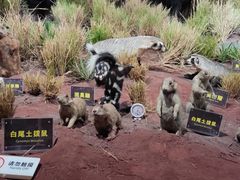 -陕西自然博物馆