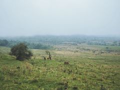 景点-石棉县孟获城