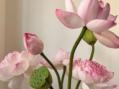 -牛市口盲人按摩