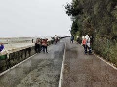 -北海金海湾红树林生态旅游区