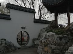 -桃花堤公园