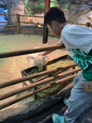 -Zoolung Zoolung动物主题公园(海信广场店)