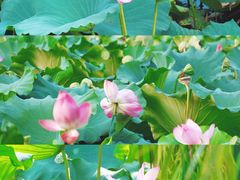 -浙江省博物馆(孤山馆区)