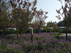 -崇明东平国家森林公园烧烤房车露营地