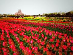 -兰陵国家农业公园